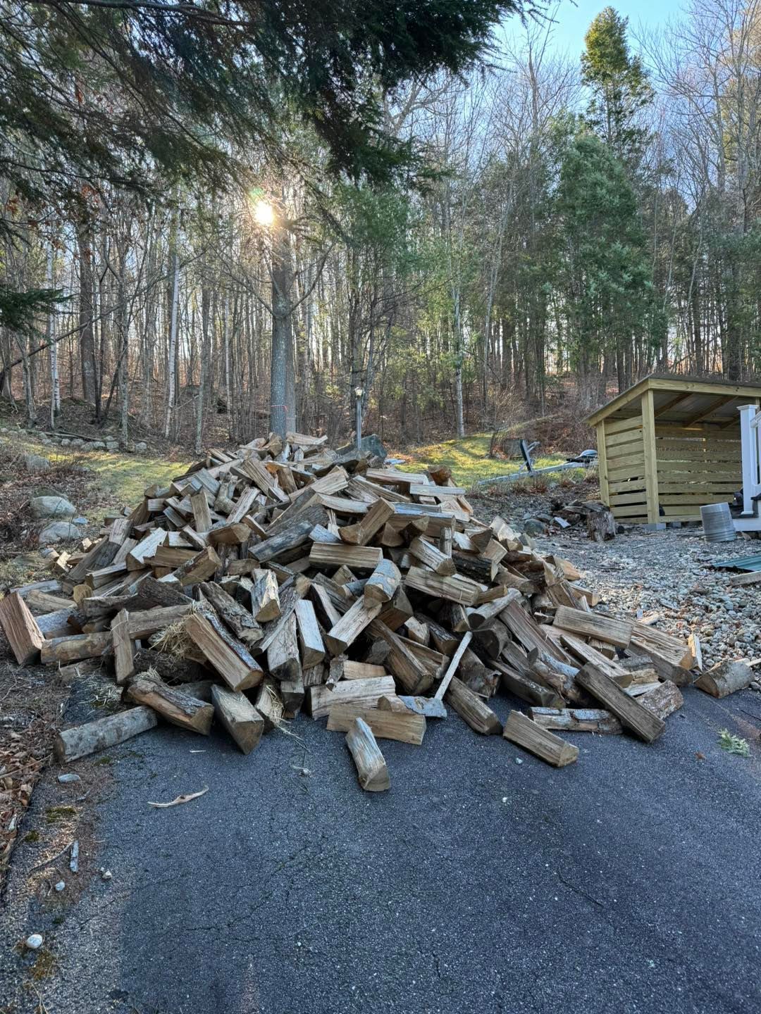 Large pile of split firewood on a paved driveway beside a small shed, with a wooded yard in the background.