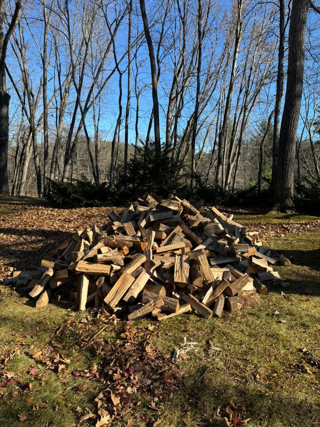 A pile of wood is sitting on top of a lush green field.