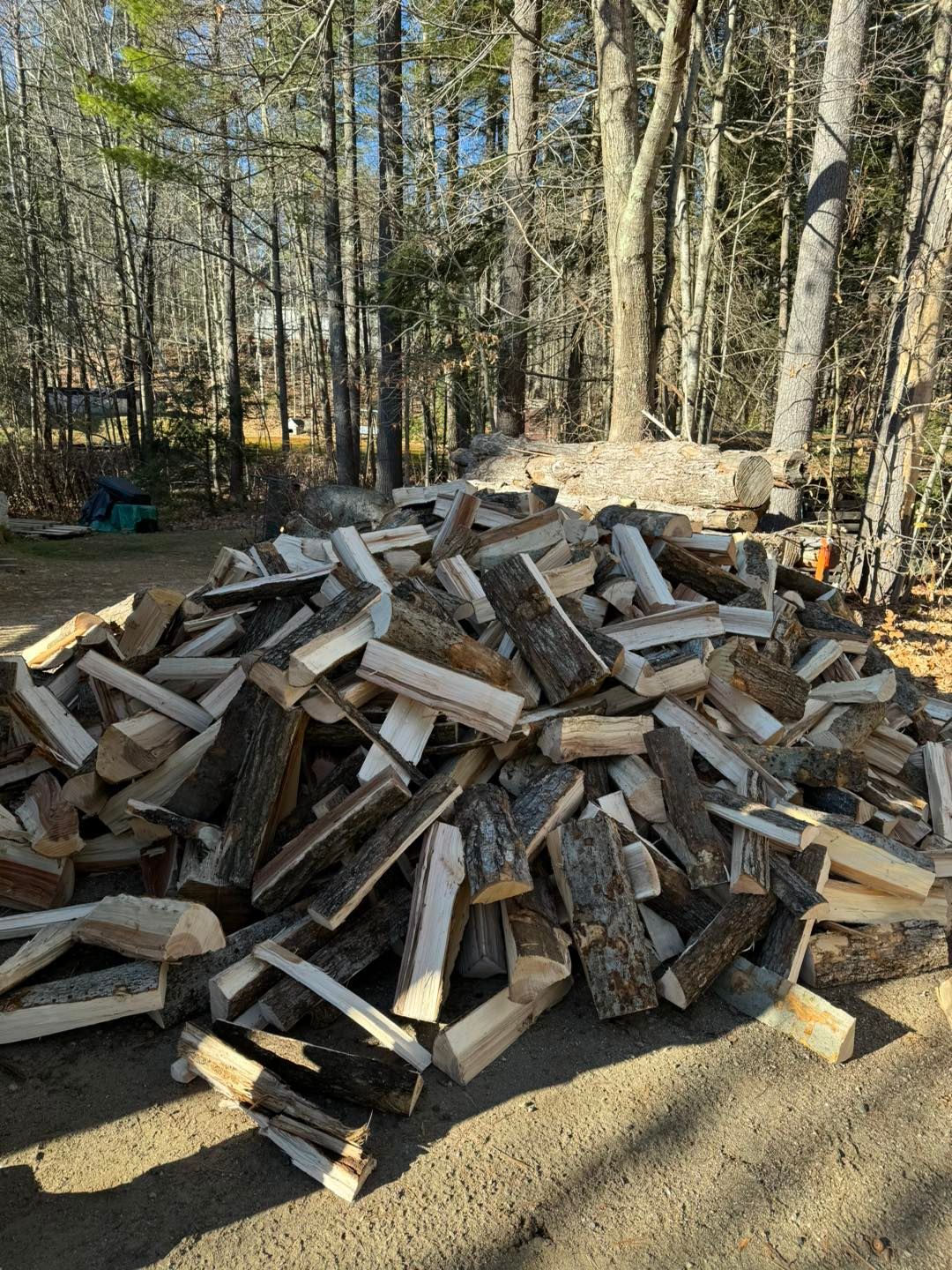 A pile of wood is sitting on the ground in front of a forest.
