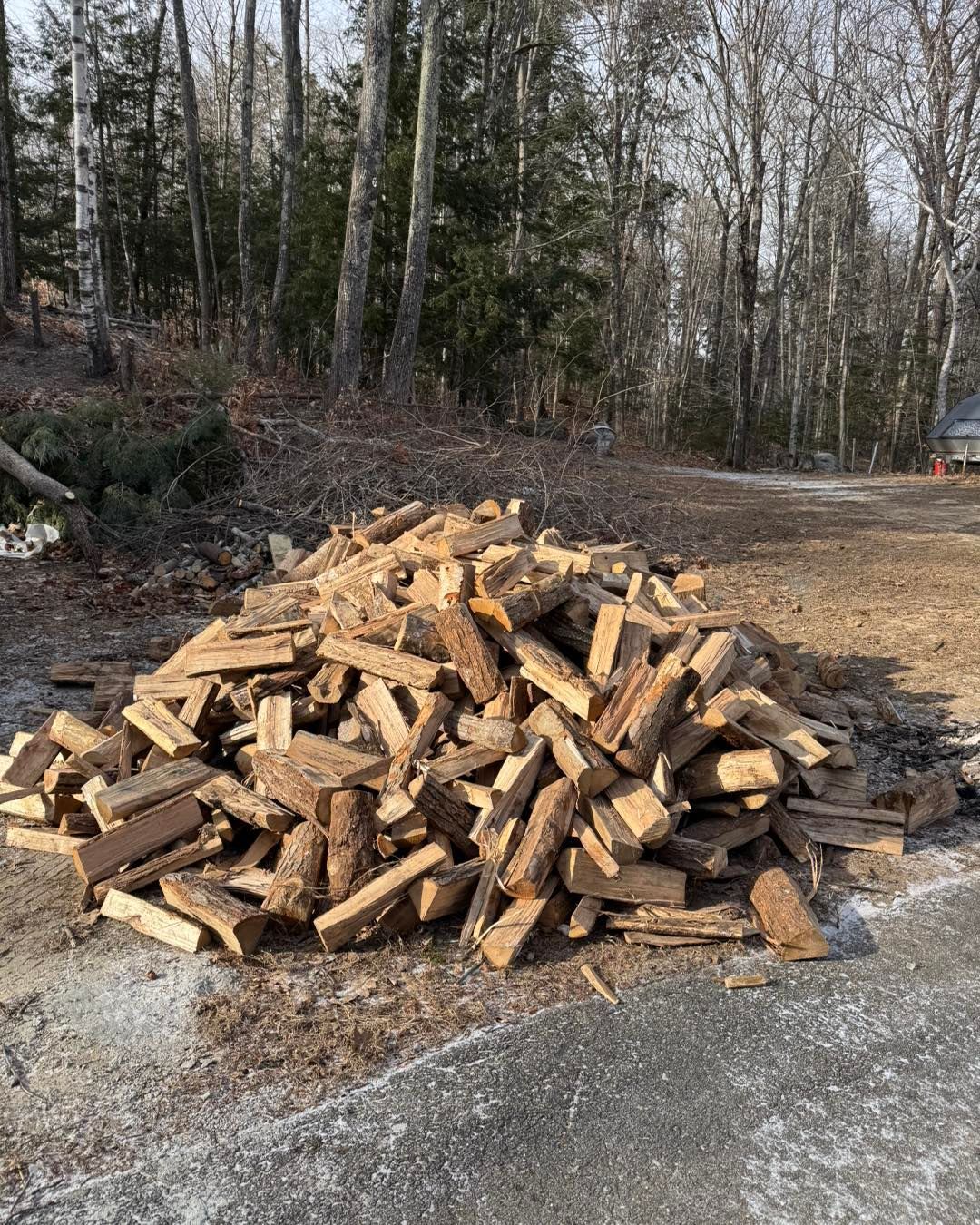 A pile of logs is sitting on the side of a road.