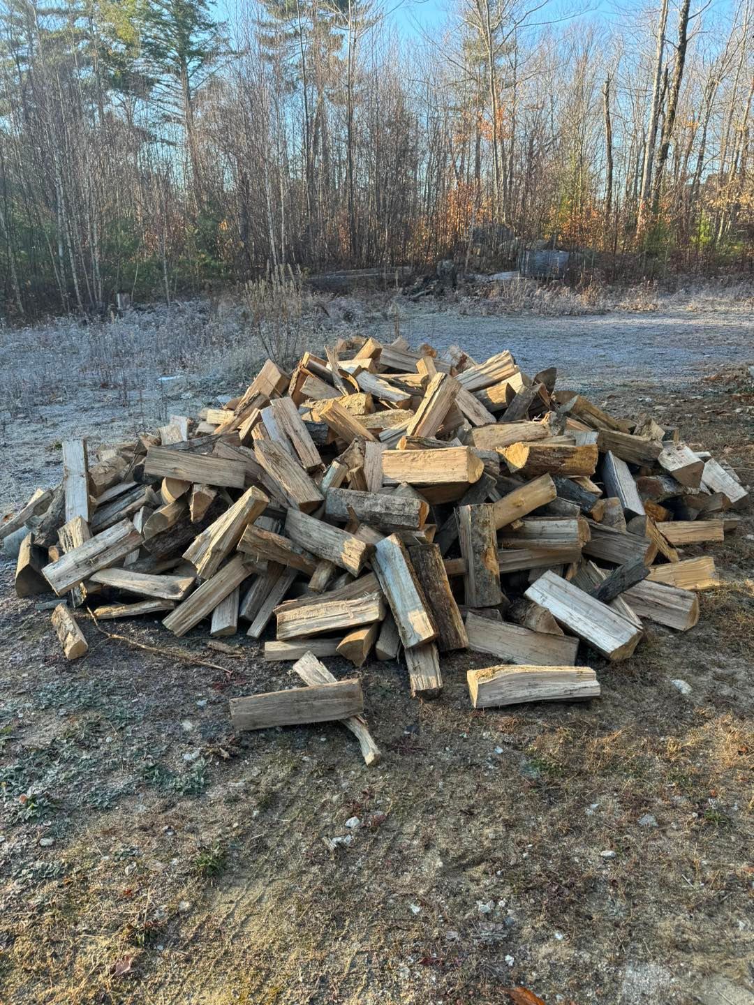 A pile of wood is sitting on the ground in a field.