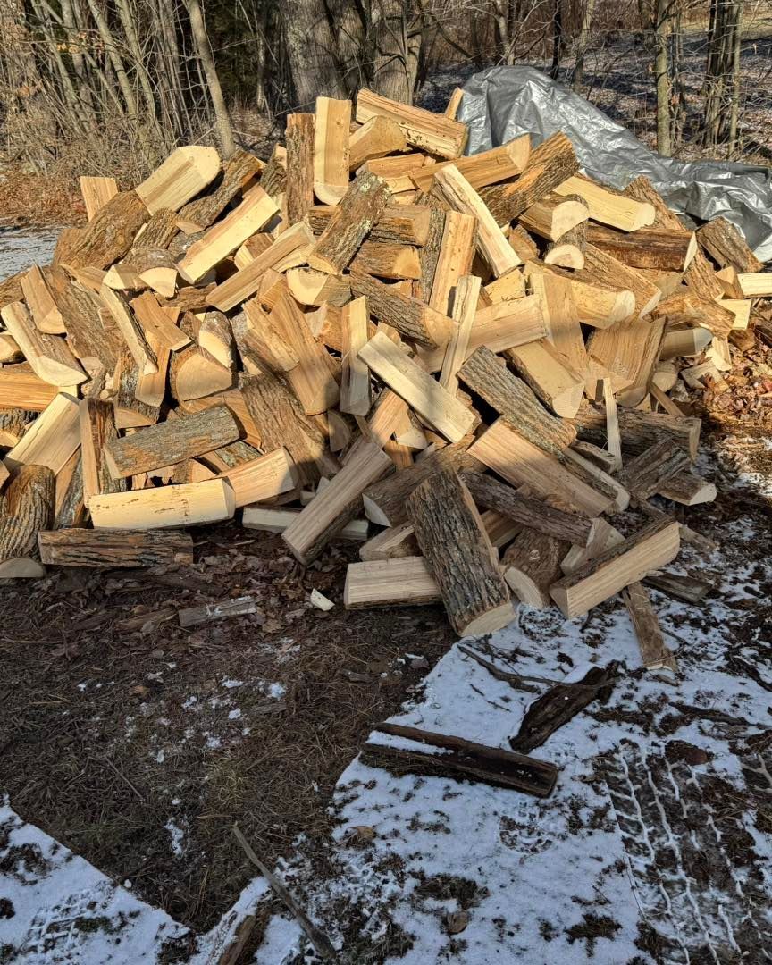 A pile of wood is sitting on the ground in the snow.