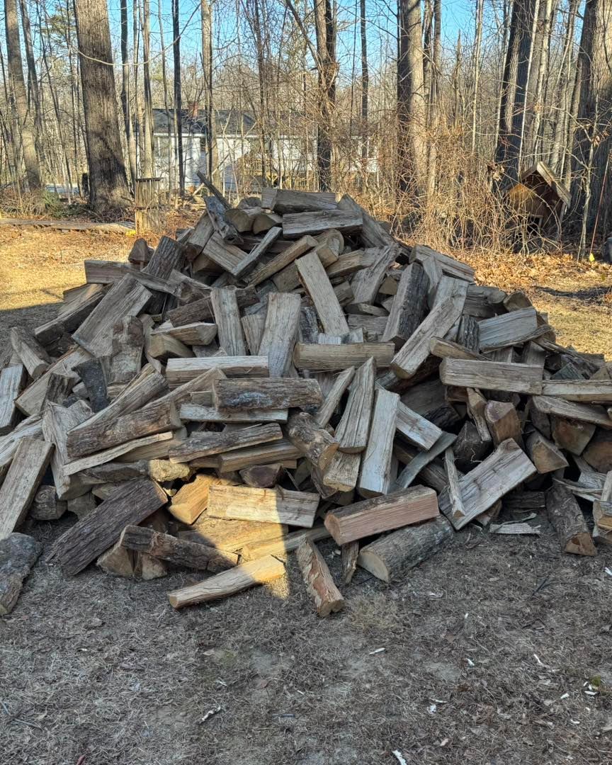 A pile of wood is sitting on the ground in the woods.