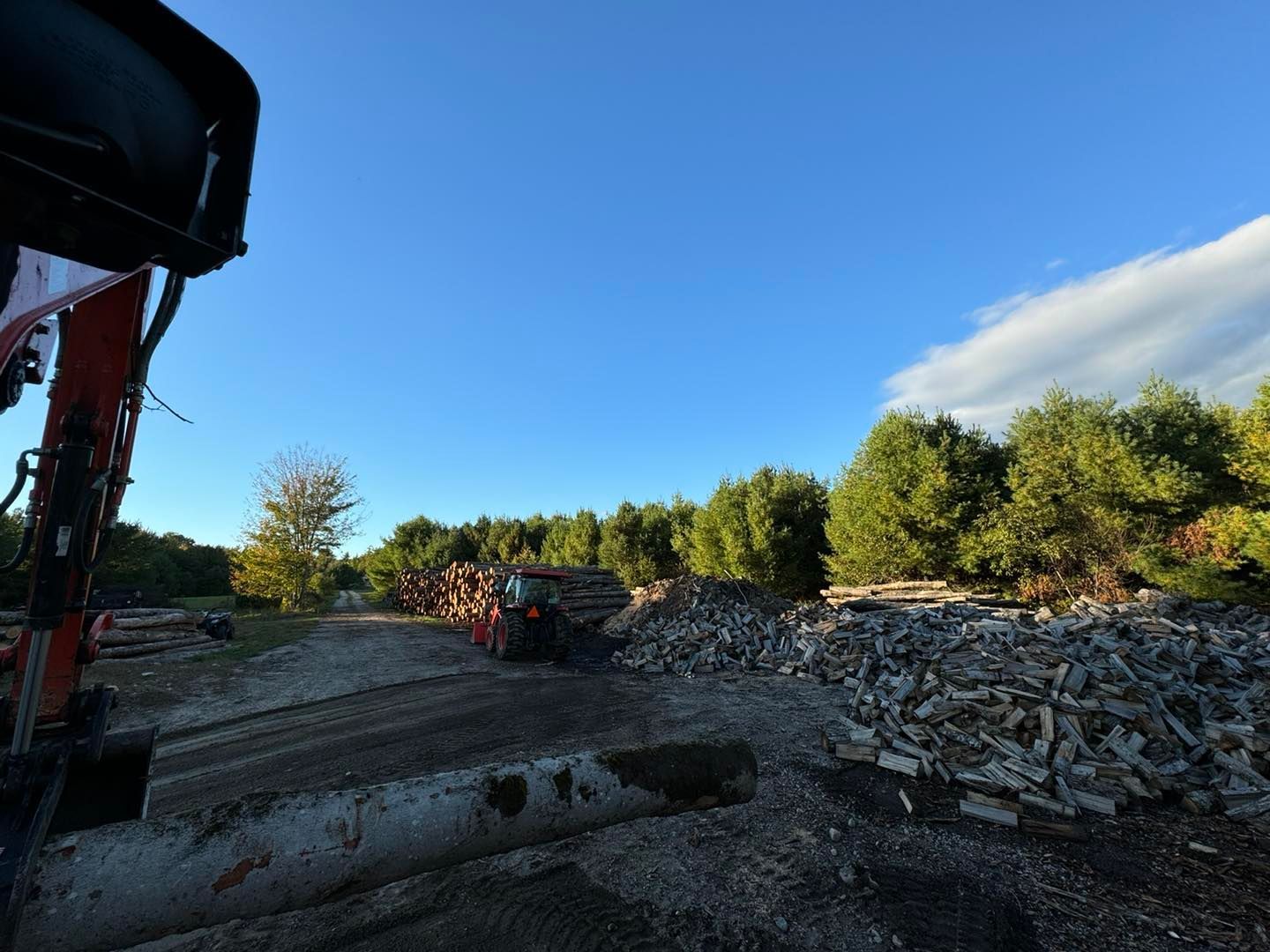 A large pile of logs in a field with trees in the background