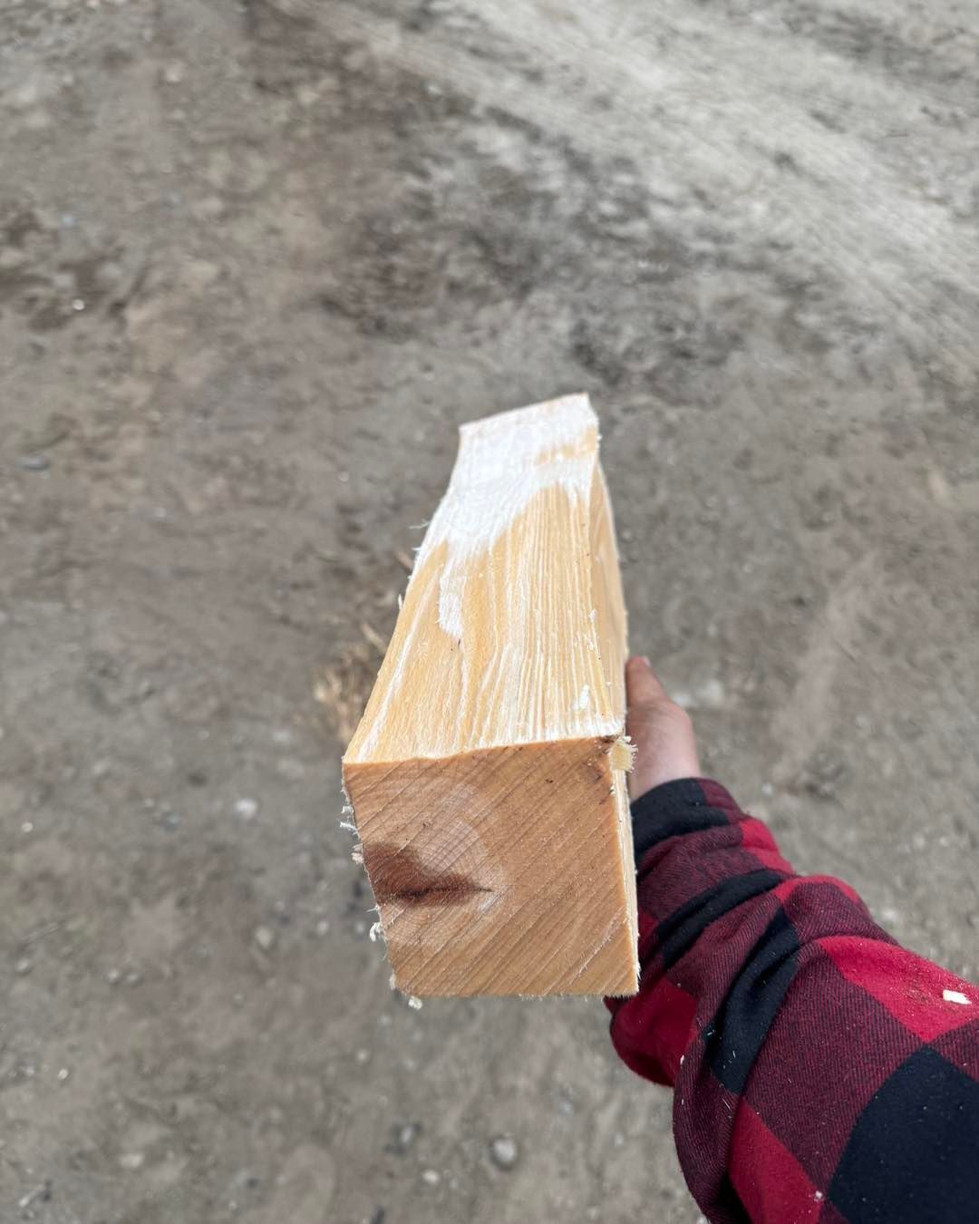 A person is holding a piece of wood in their hand.