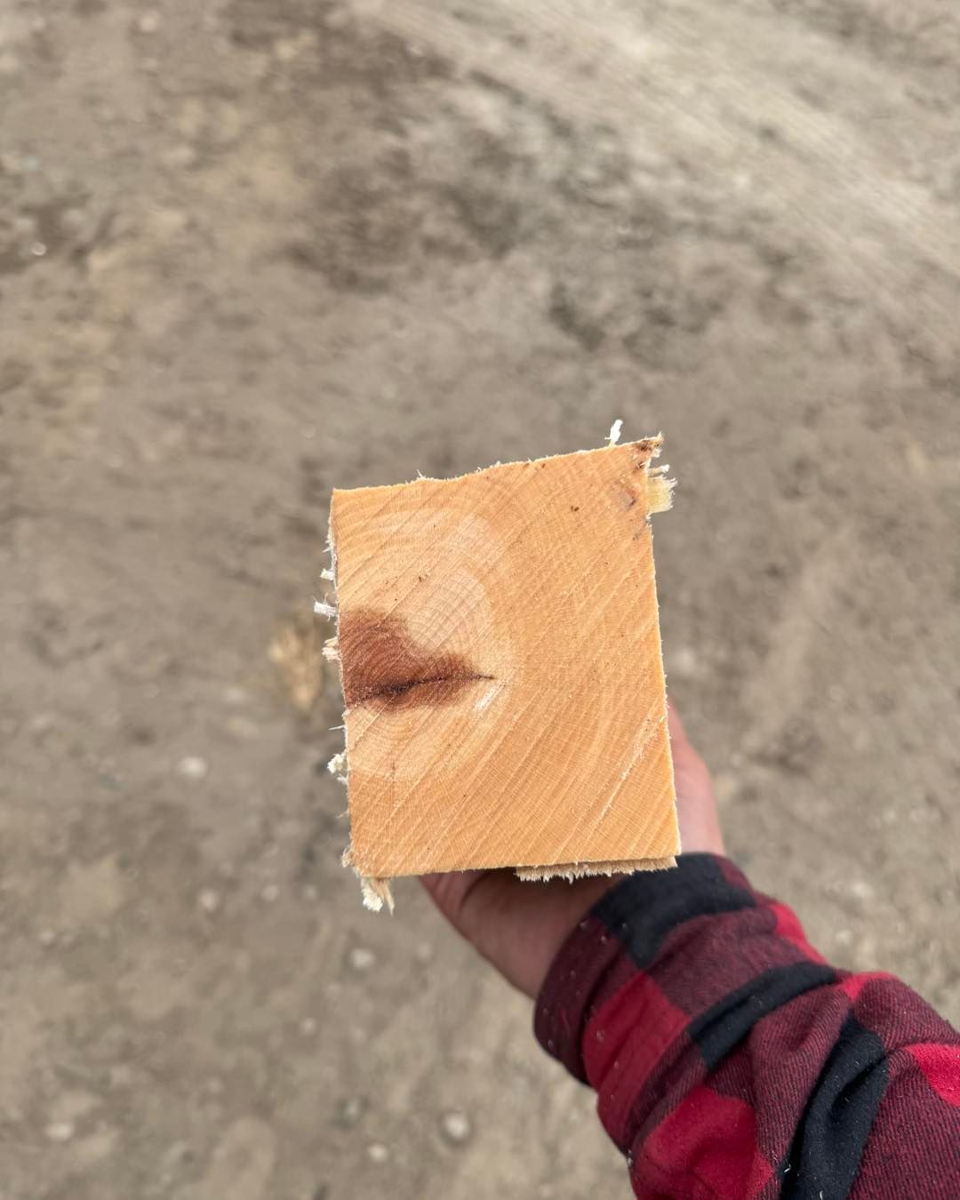 A person is holding a piece of wood in their hand.