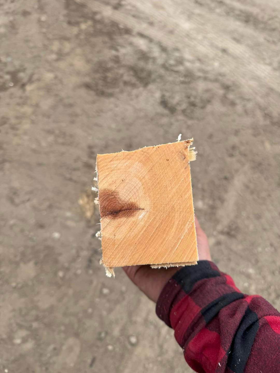 A person is holding a piece of wood in their hand.