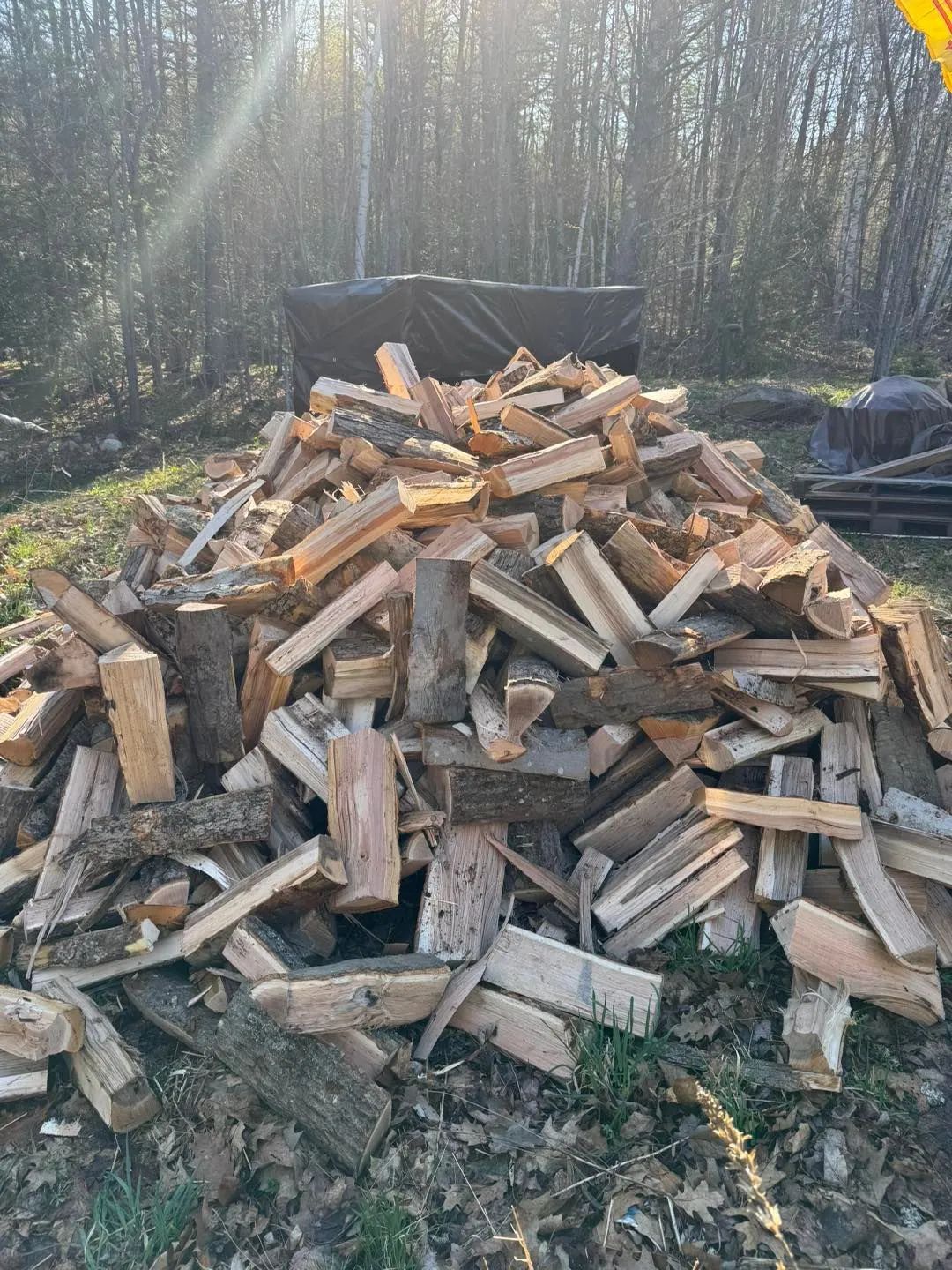 Pile of split firewood on grass, with trees in the background.