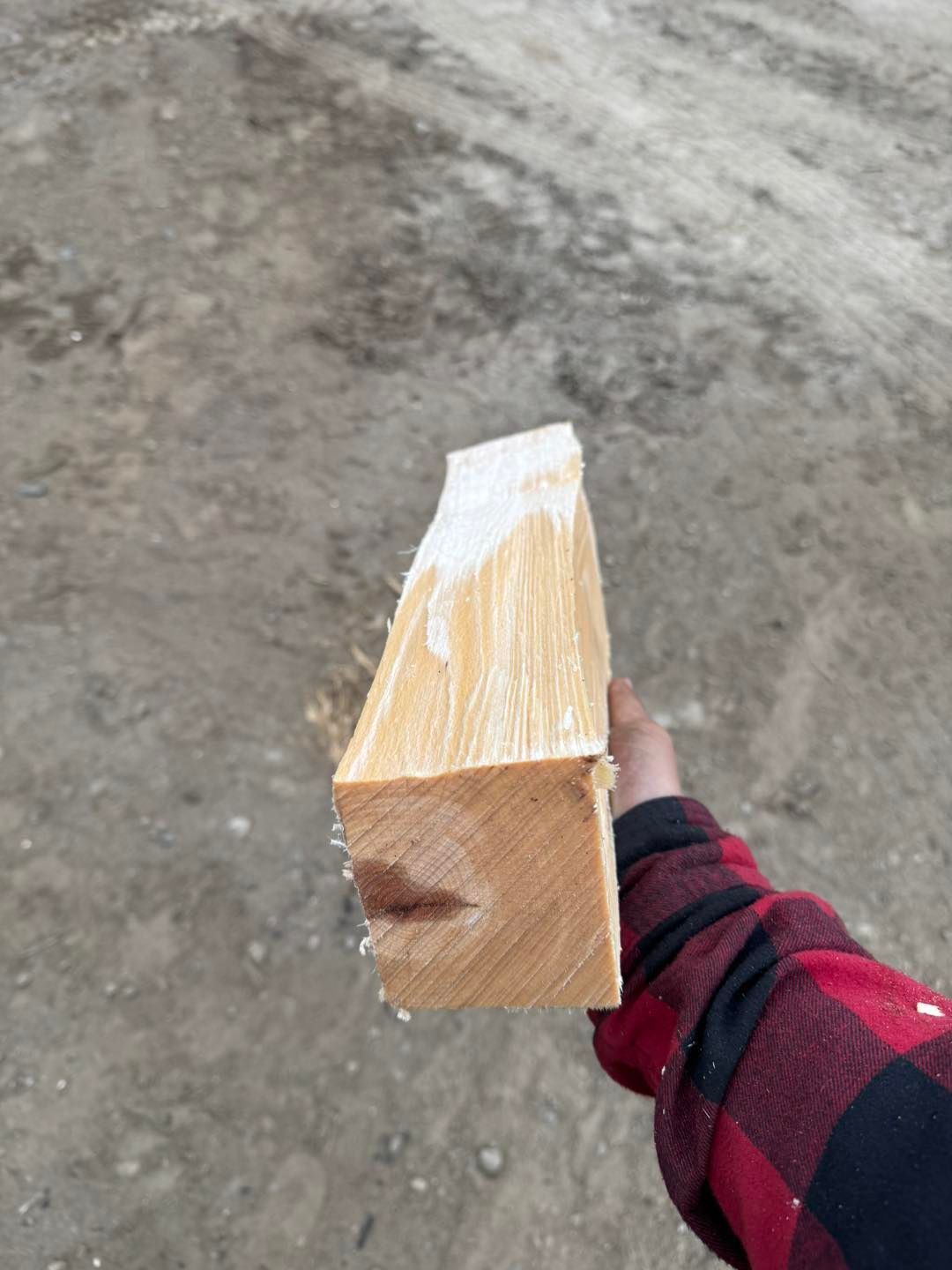 A person is holding a piece of wood in their hand.