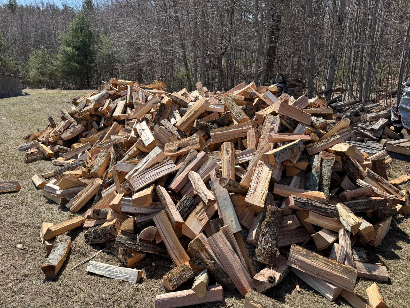 A pile of wood is sitting on the ground in a field.