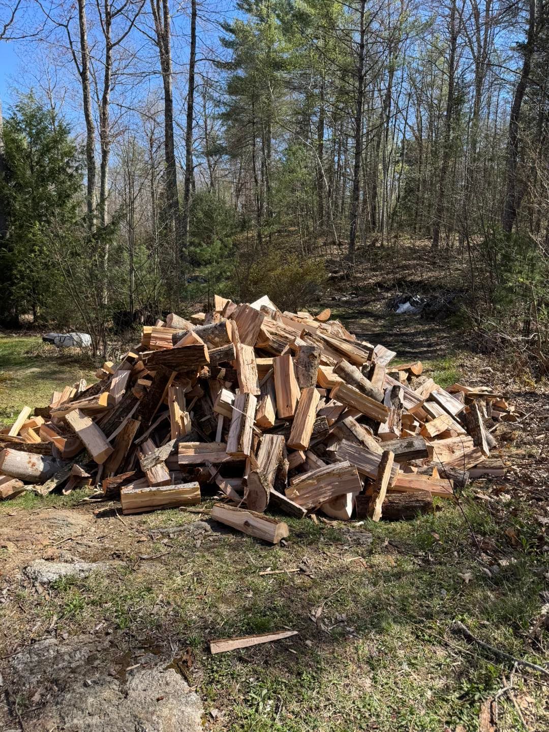 A pile of wood is sitting on the ground in the middle of a forest.