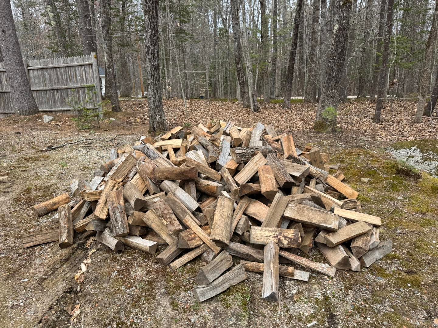 A pile of wood is sitting on the ground in the middle of a forest.