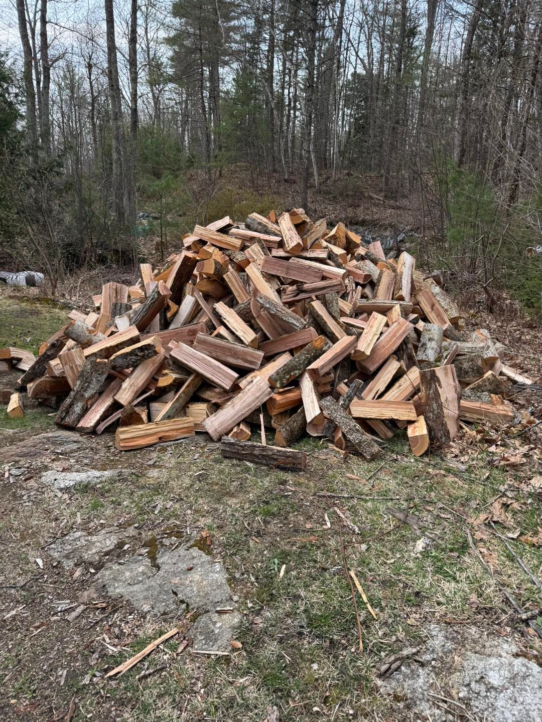 A pile of wood is sitting on the ground in the middle of a forest.