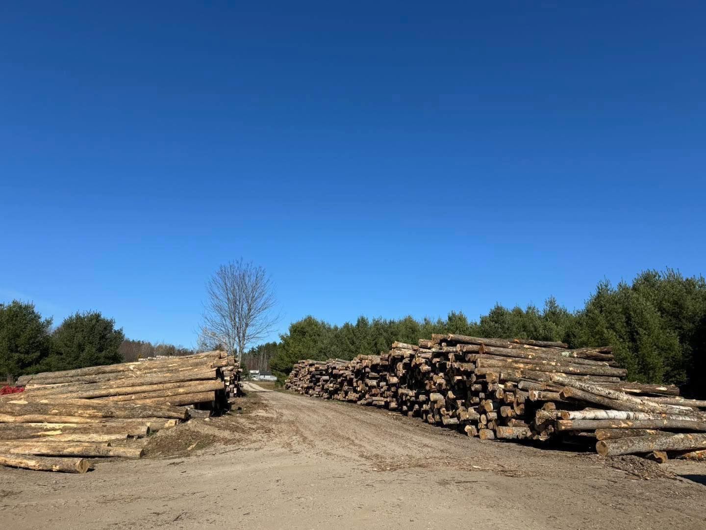 A pile of logs sitting on top of a dirt road.