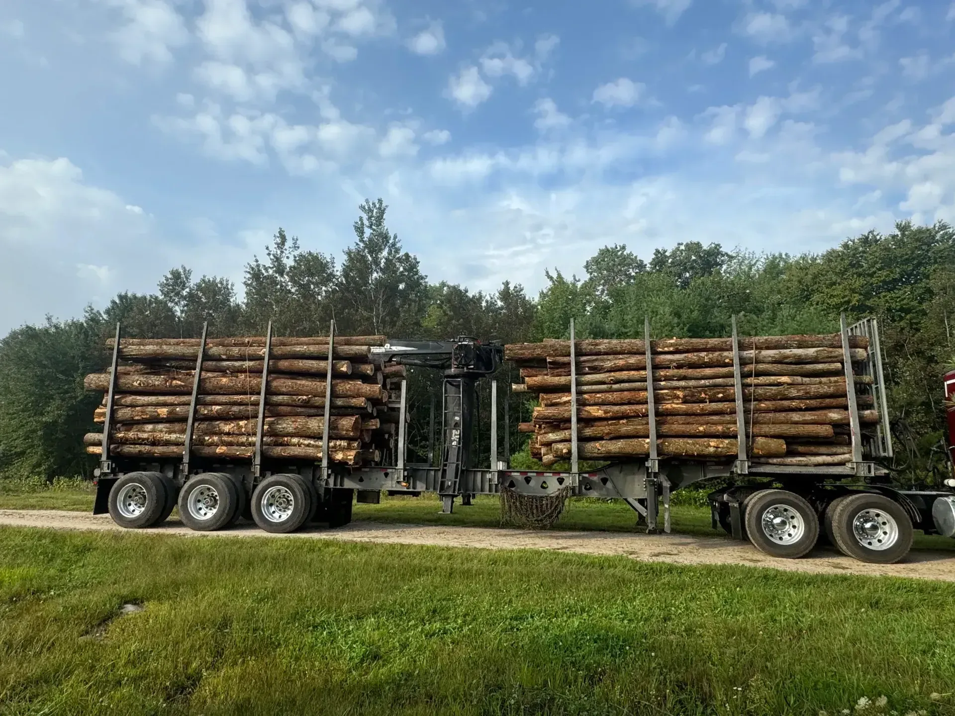 A truck filled with logs is parked in a grassy field.