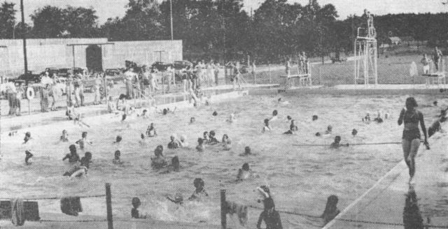 a black and white photo of people swimming in a swimming pool .