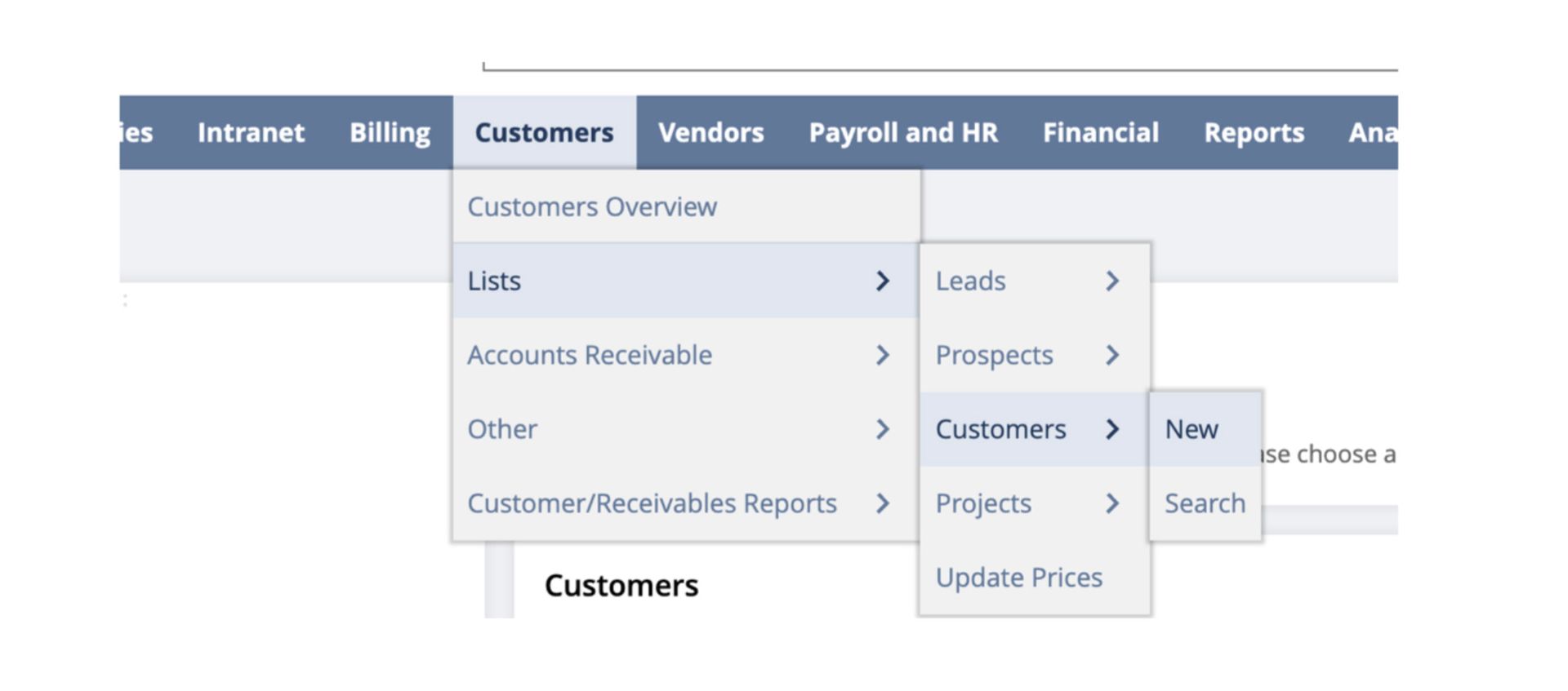 The first screenshot showing how to create a customer record in NetSuite. 