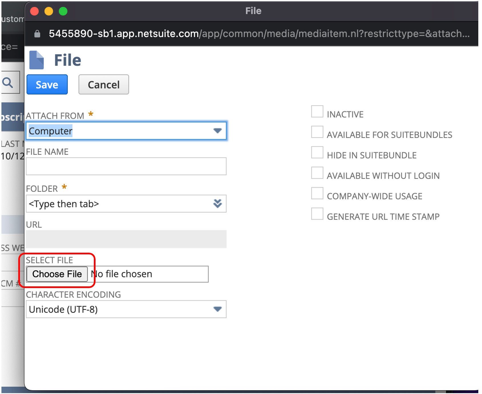 This is the fourteenth screenshot showing how to create a customer record in NetSuite.