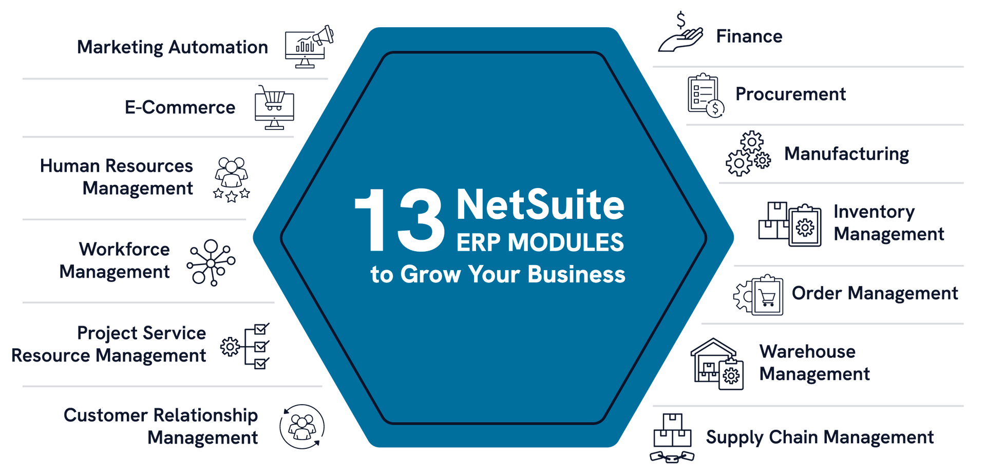 NetSuite Modules by SuiteDynamics