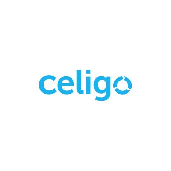 SuiteDynamics Celigo Integration