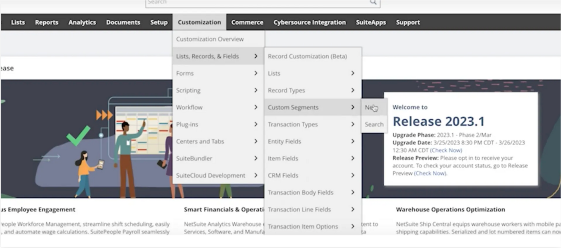 Screenshot showing how to find custom segments in NetSuite.