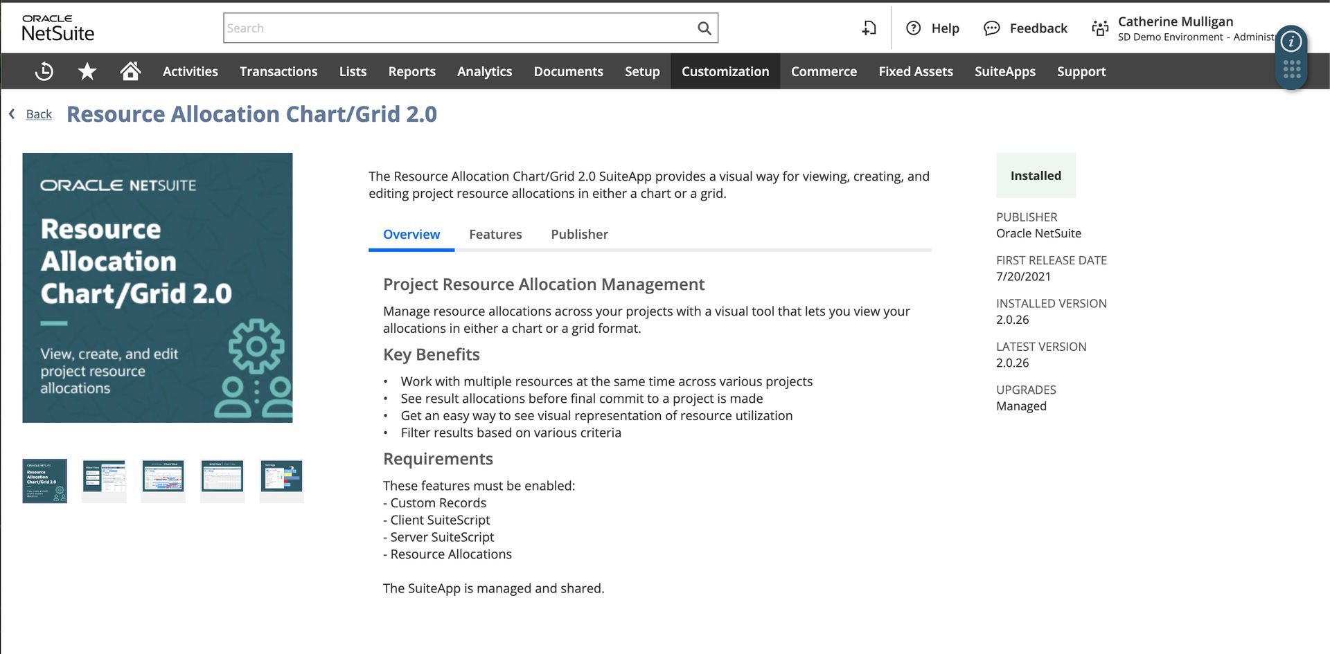 Screenshot of a resource allocation chart.