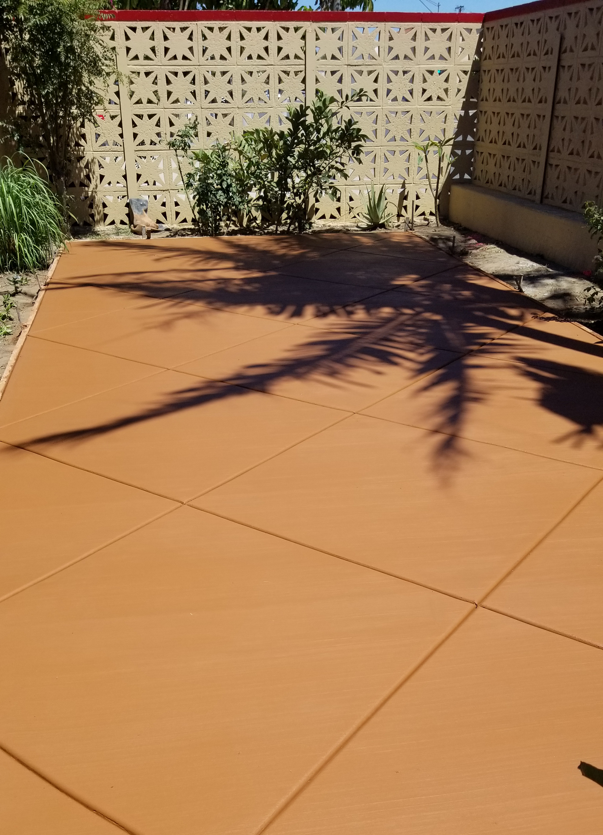 A shadow of a palm tree is cast on a concrete surface