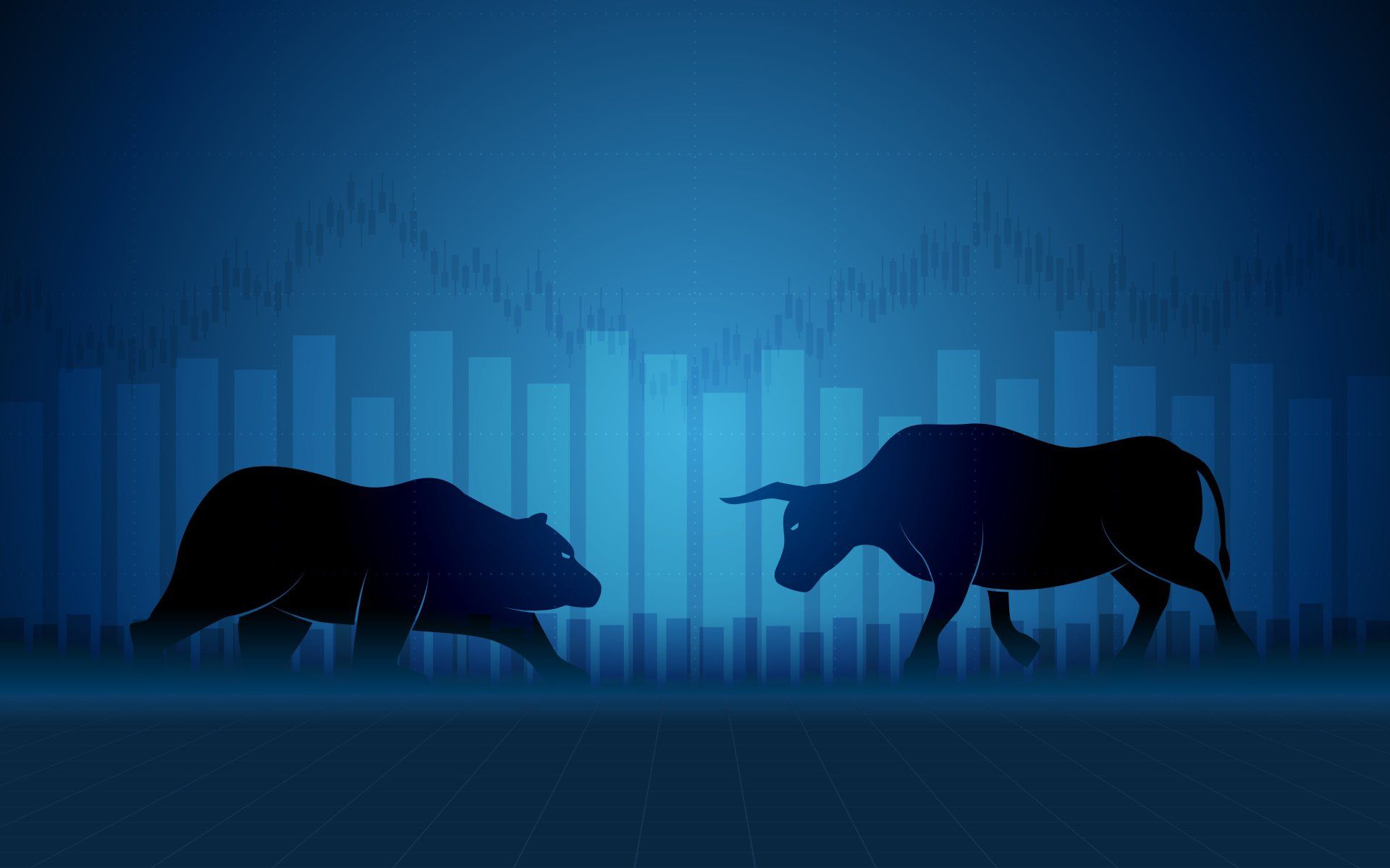 bull vs bear in the stock market