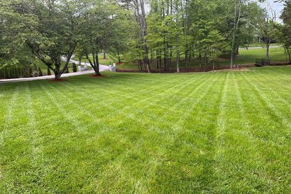 Commercial Lawn — Charlotte, NC — Southern Style Turf & Design