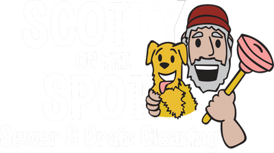 Scotty on the spot Logo