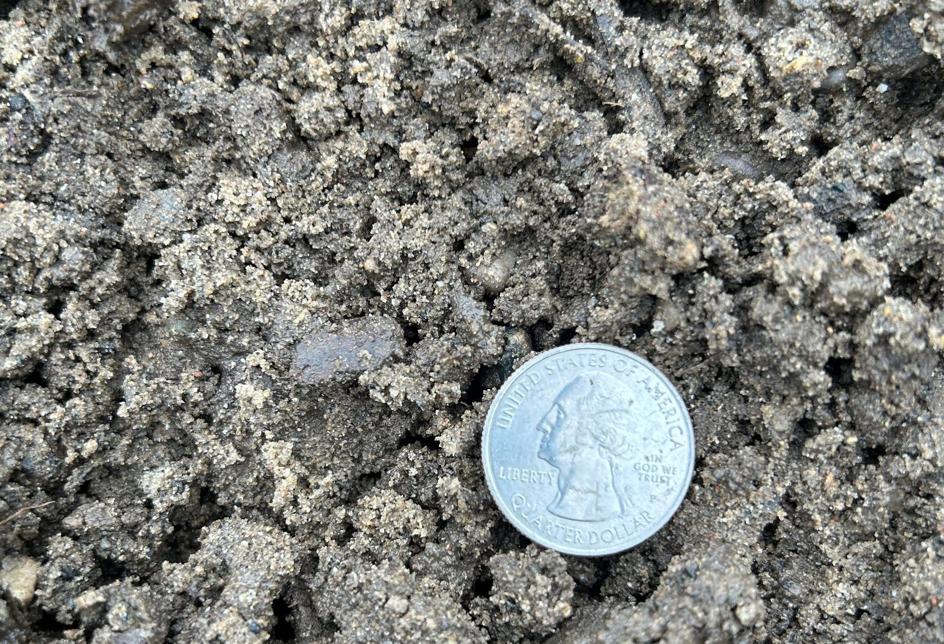 fill soil, dirt, yard dirt