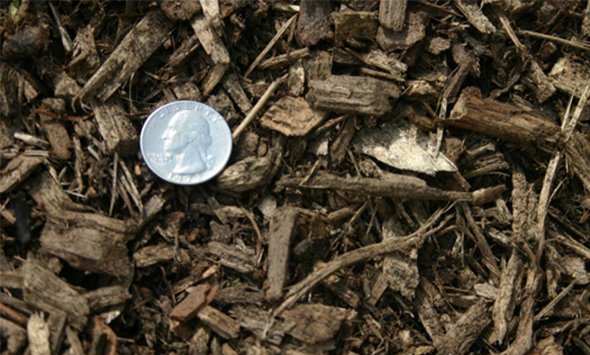 Natural Mulch