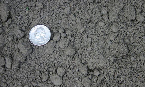 Seeding soil, hole soil, garden soil, yard soil