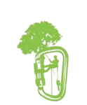 Tree Service in Asheville, NC | JG Tree Service LLC