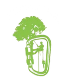 Tree Service in Asheville, NC | JG Tree Service LLC