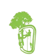 Tree Service in Asheville, NC | JG Tree Service LLC