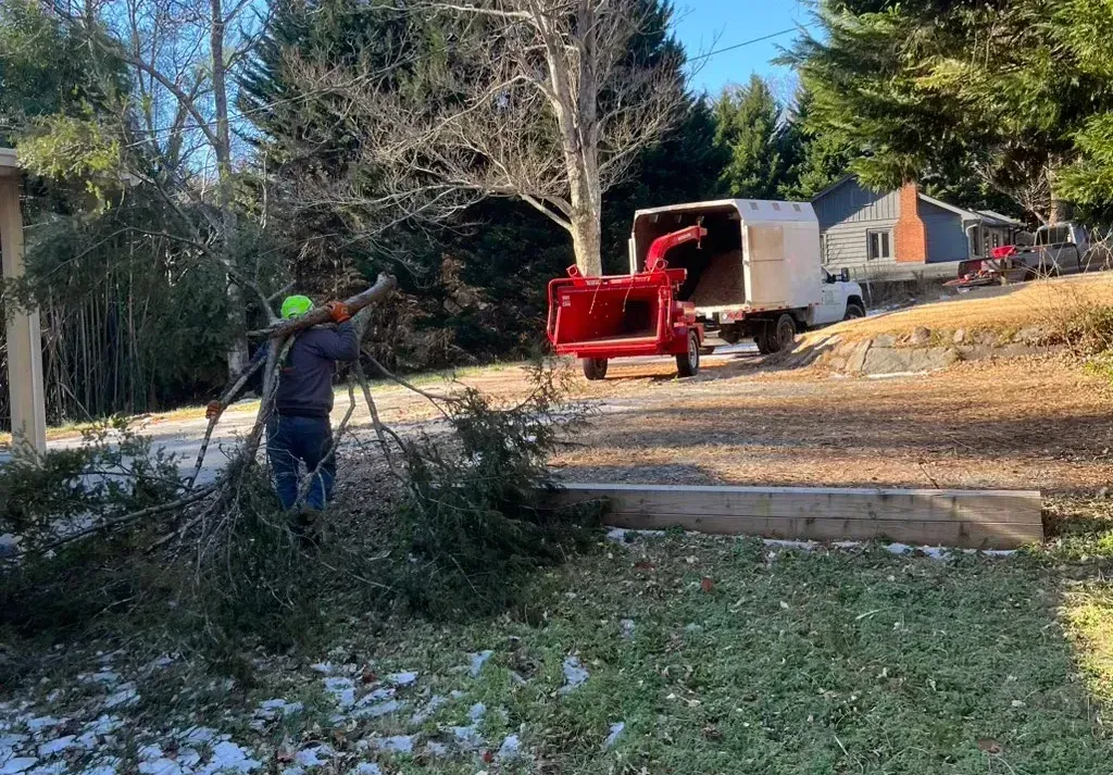 About JG Tree Service LLC