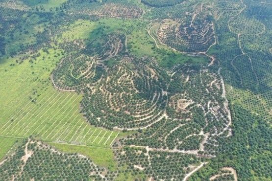An aerial view of a lush green landscape with mountains and fields.