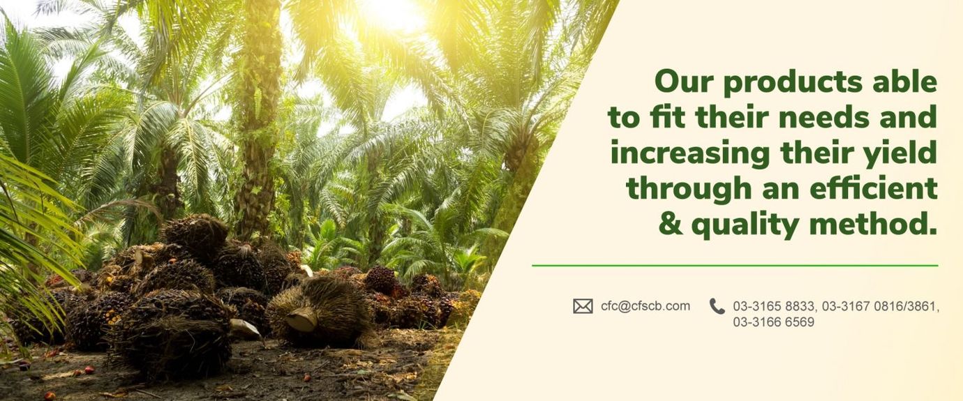 Our products able to fit their needs and increasing their yield through an efficient and quality method.