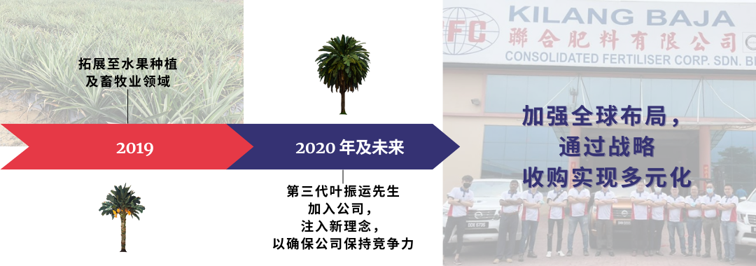 一张棕榈树的图片旁边是一张建筑物的图片。
