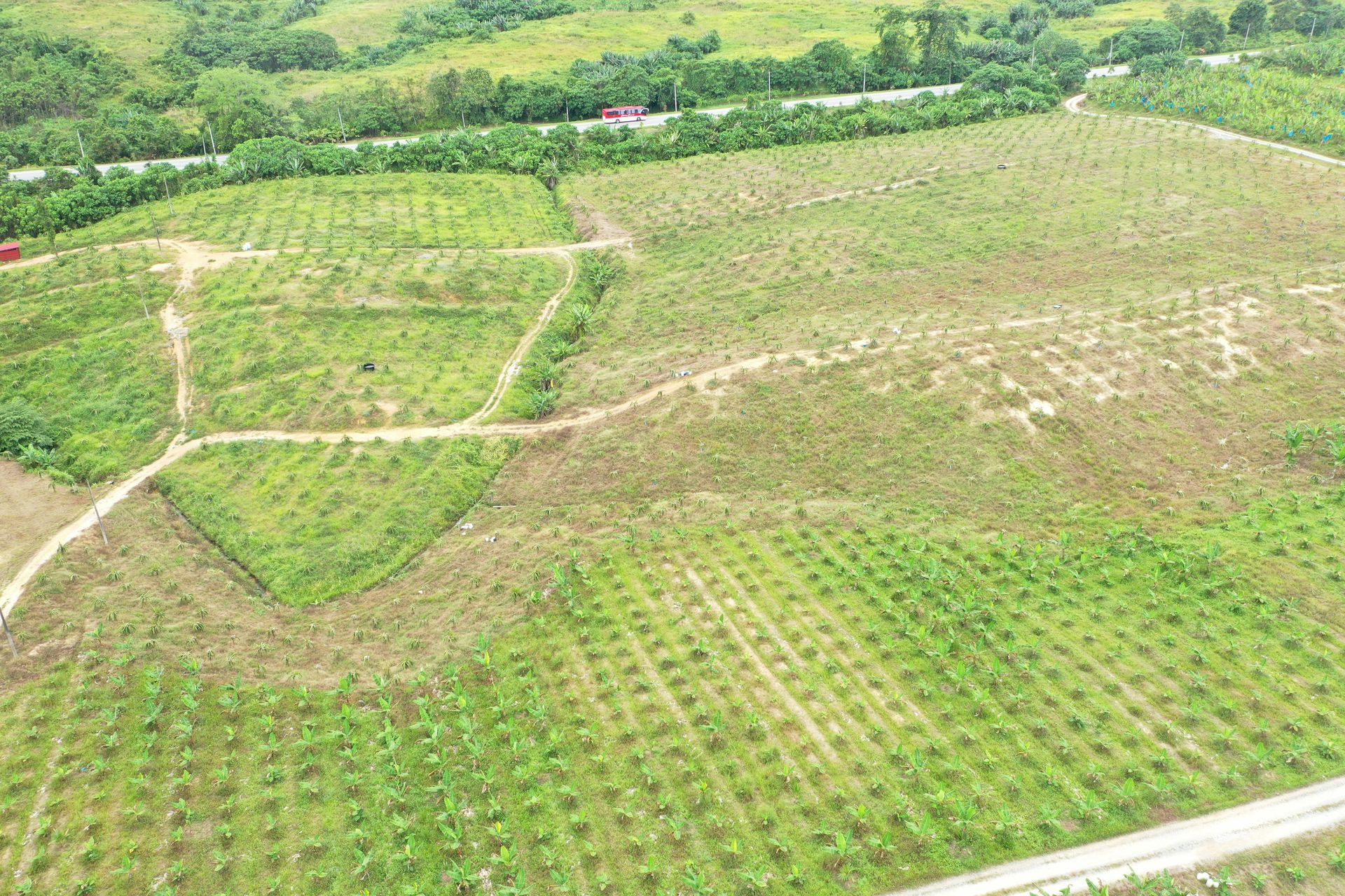 An aerial view of a lush green field with a road going through it.