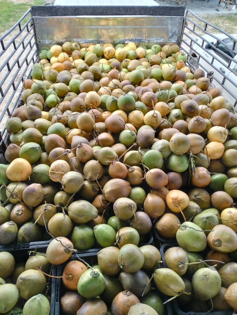 一辆装满猕猴桃的卡车。