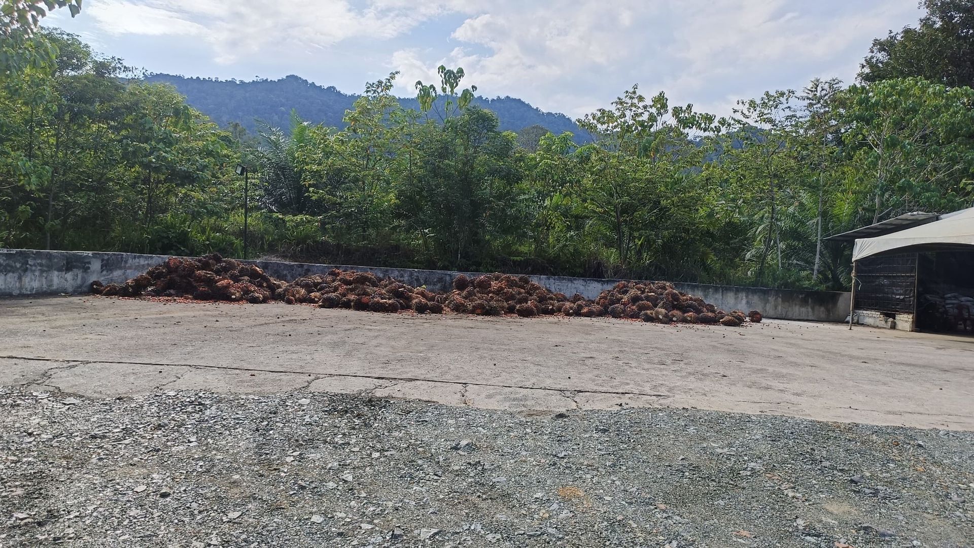 一条碎石路的中央堆满了一大堆泥土。