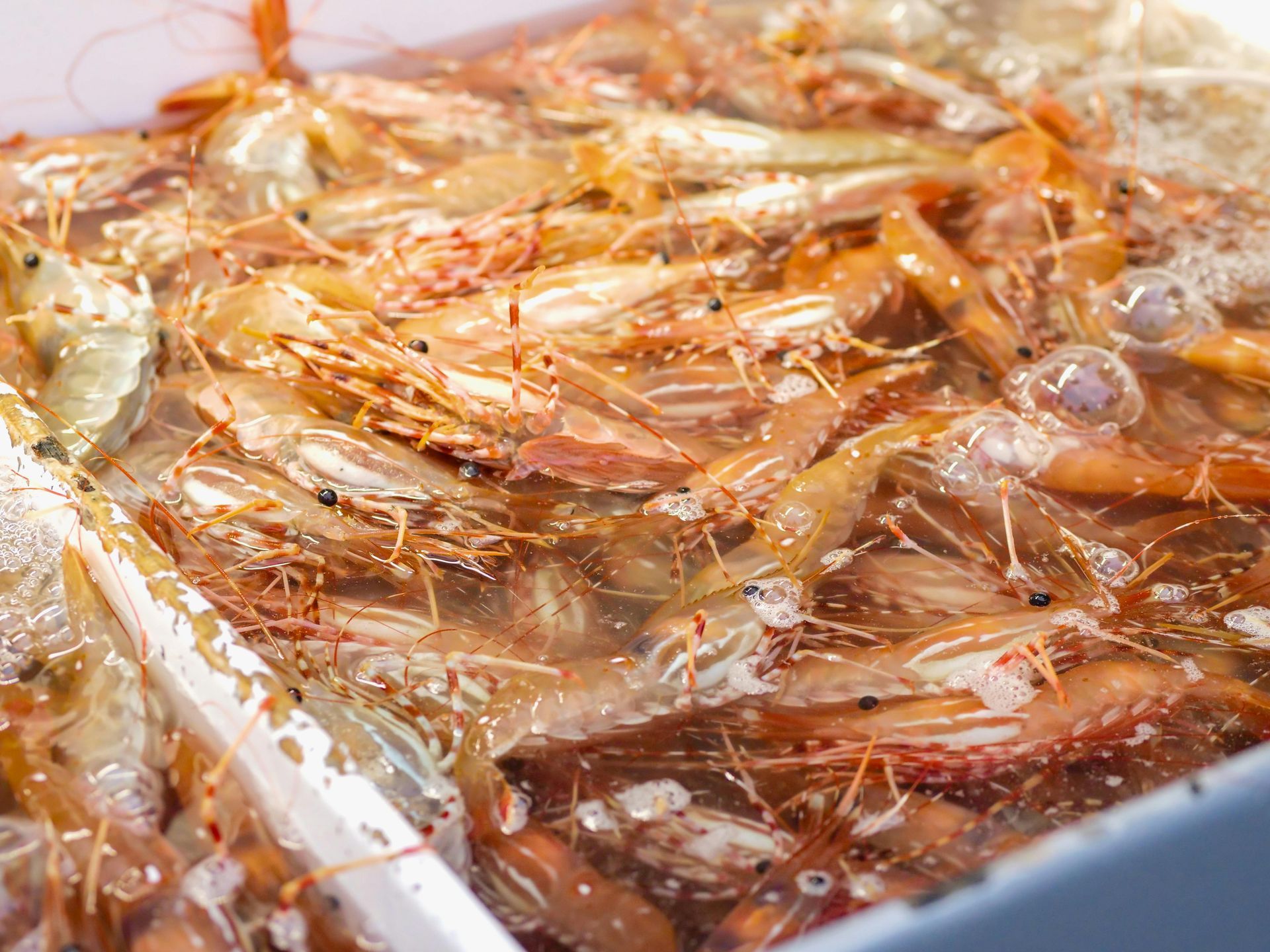 A pile of shrimp is being cooked in a pan with a spoon.