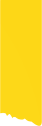 Yellow Background