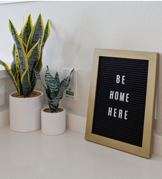 Framed “BE HOME HERE” sign beside two potted snake plants on a white shelf