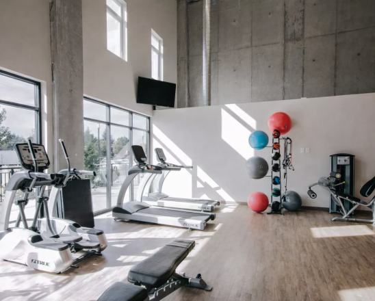Bright modern gym with treadmills, exercise bikes, wall-mounted TV, stability balls, and large windows