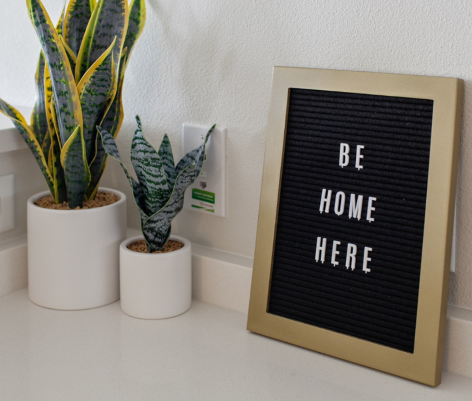 Framed “BE HOME HERE” sign beside two potted snake plants on a white shelf