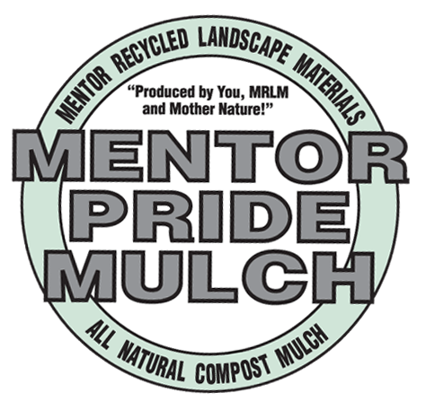 MENTORPRIDE logo
