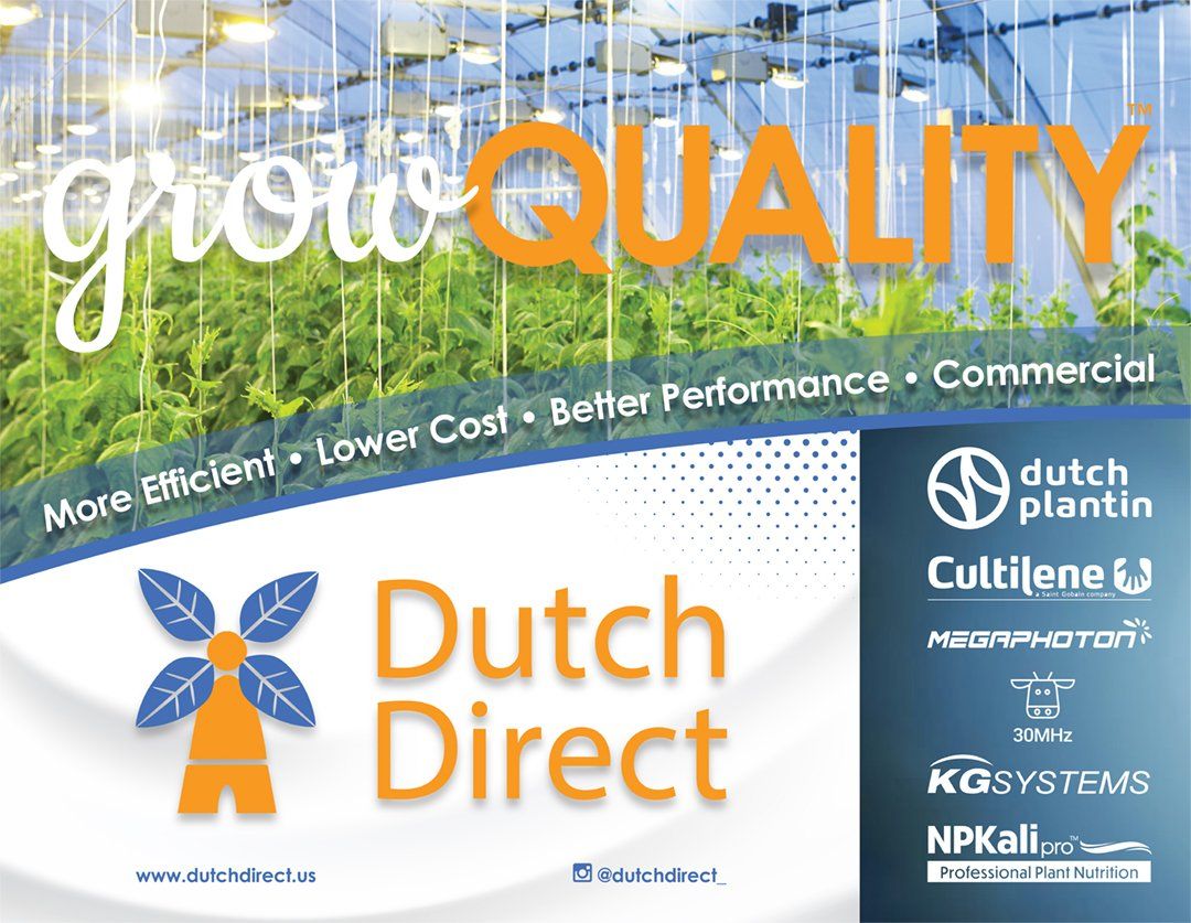 AD HAUS graphic design